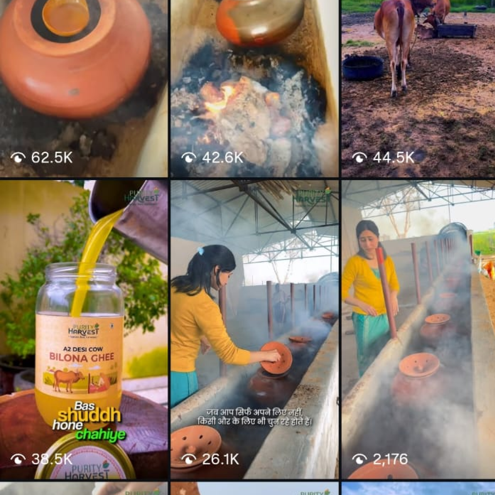 Purity Harvest Engagement